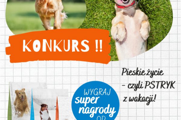 Bozita-konkurs_600x800(1)