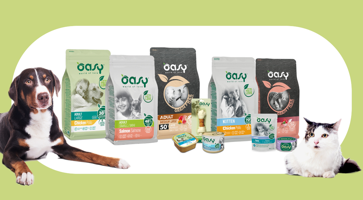 oasy